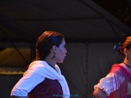 Festival de Folkore en Mula